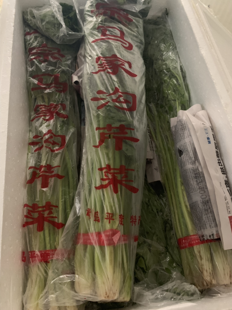 马家沟芹菜