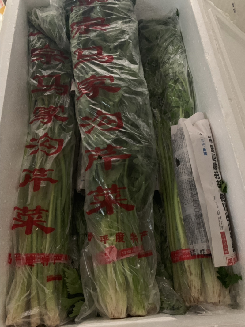 马家沟芹菜