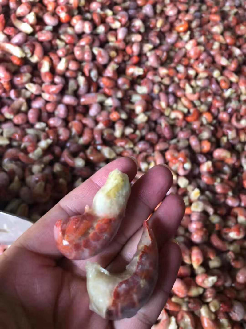 龙虾尾特级