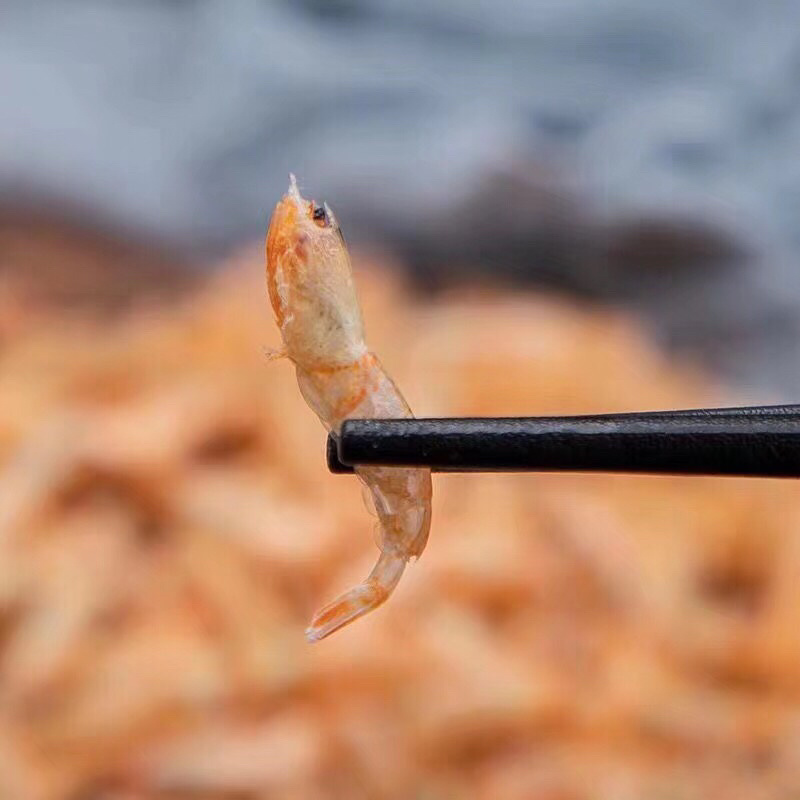 深海淡干虾虾米虾皮
