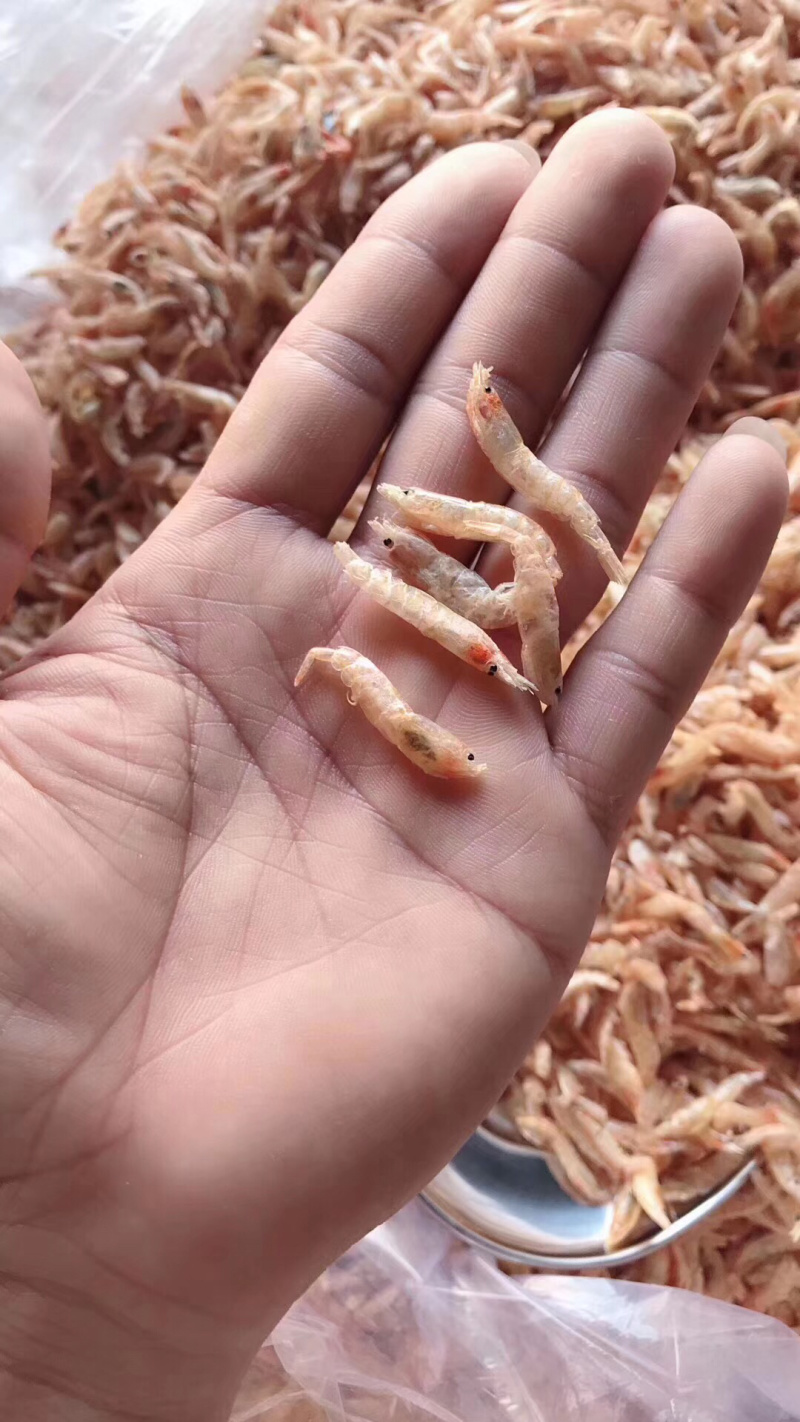 深海淡干虾虾米虾皮