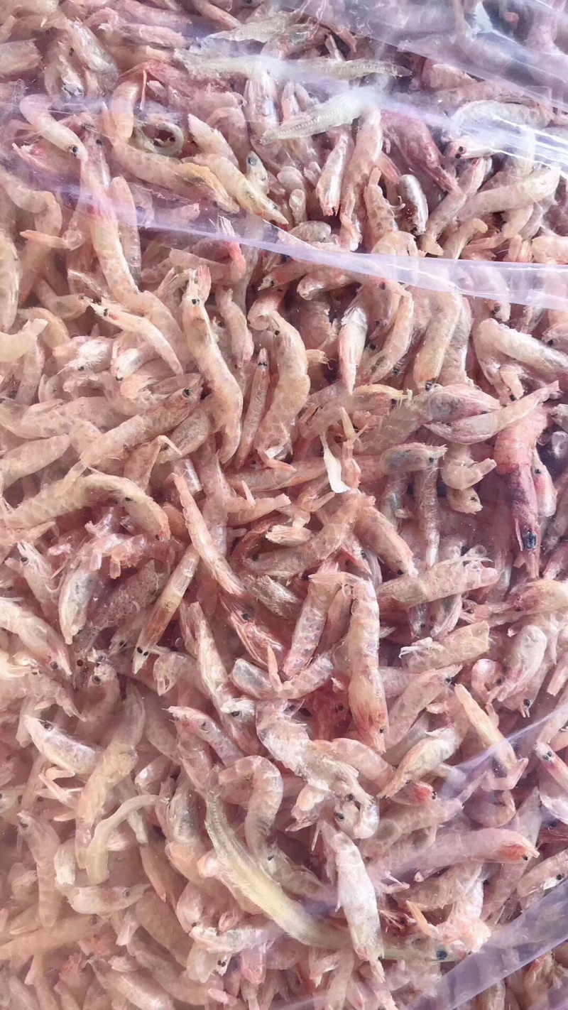 深海淡干虾虾米虾皮