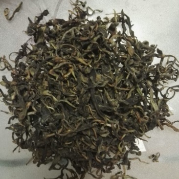 枸杞叶茶一级