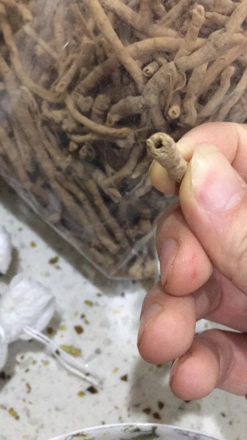 远志抽芯远志半斤拿样一件半斤