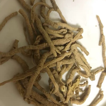 远志抽芯远志半斤拿样一件半斤