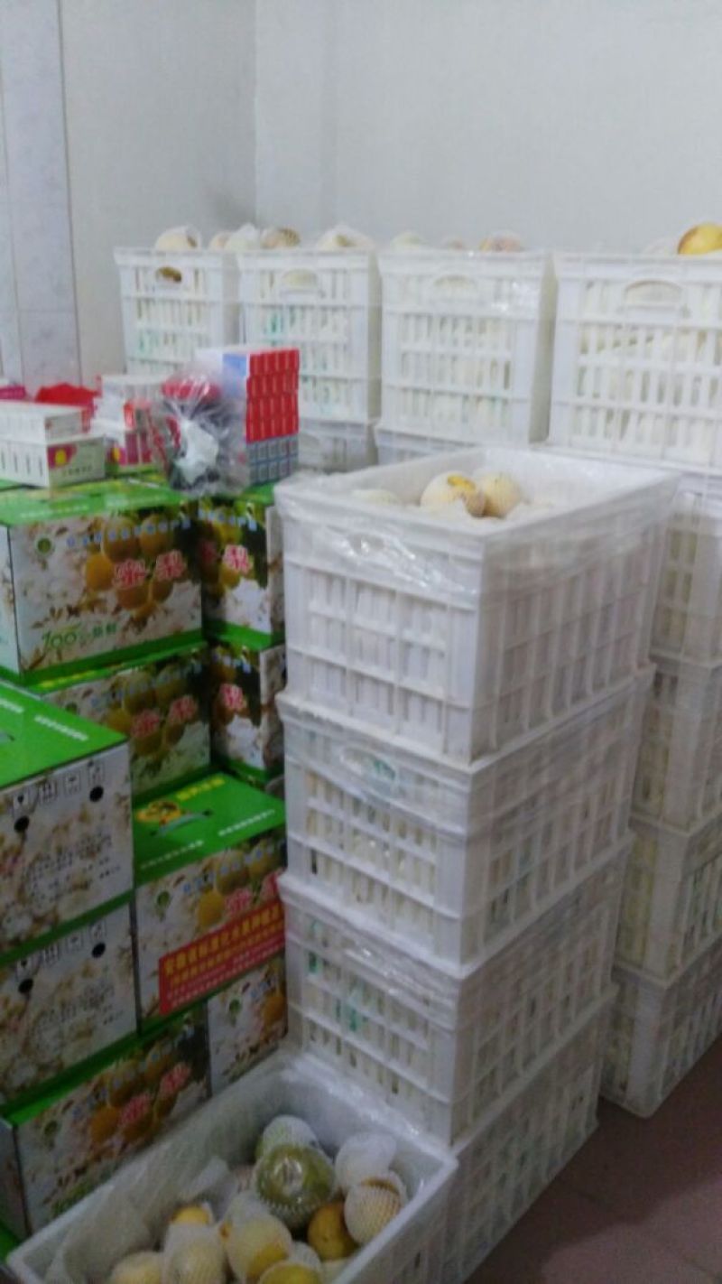 黄金梨300~350g膜袋