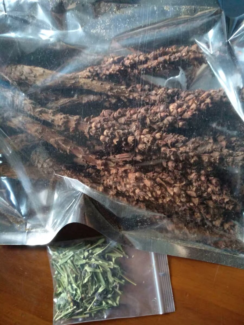 草苁蓉不老草大兴安岭农家初选农副土特产品