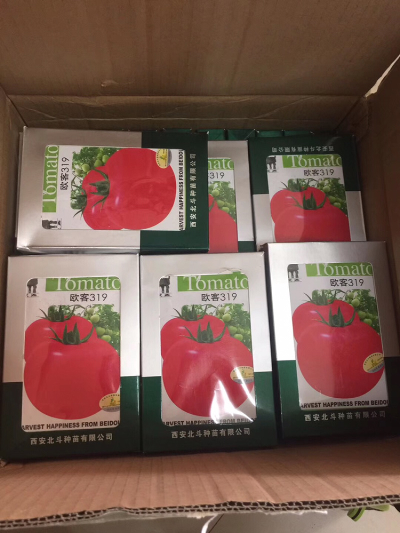 欧客319番茄种子西红柿种子粉红大果早熟果硬肉厚