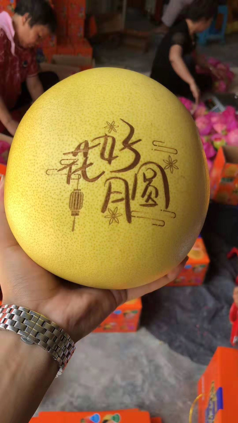 平和红柚