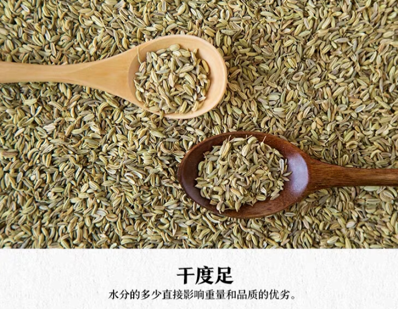 小茴香精品新货量大从优