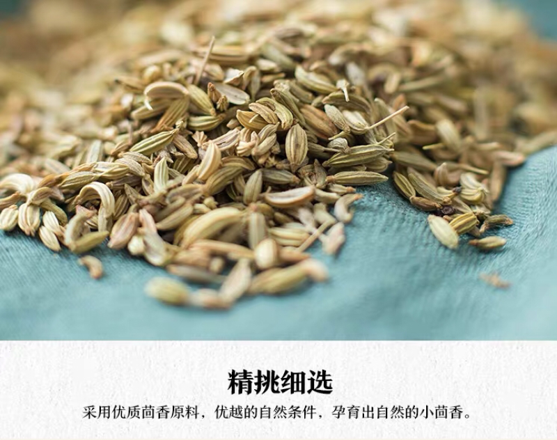 小茴香精品新货量大从优