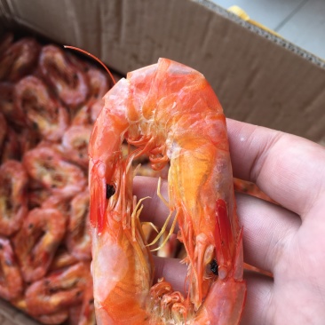 （精选）对虾干舟山岱山对虾口味鲜嫩，回甘，品相好，易储存，