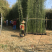 竹子带营养杯发货规格齐全实拍图片