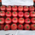 精品西红柿🍅👍精品硬粉，耐运输，弧三以上★价位便宜