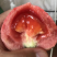 精品西红柿🍅👍精品硬粉，耐运输，弧三以上★价位便宜