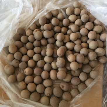桂圆干