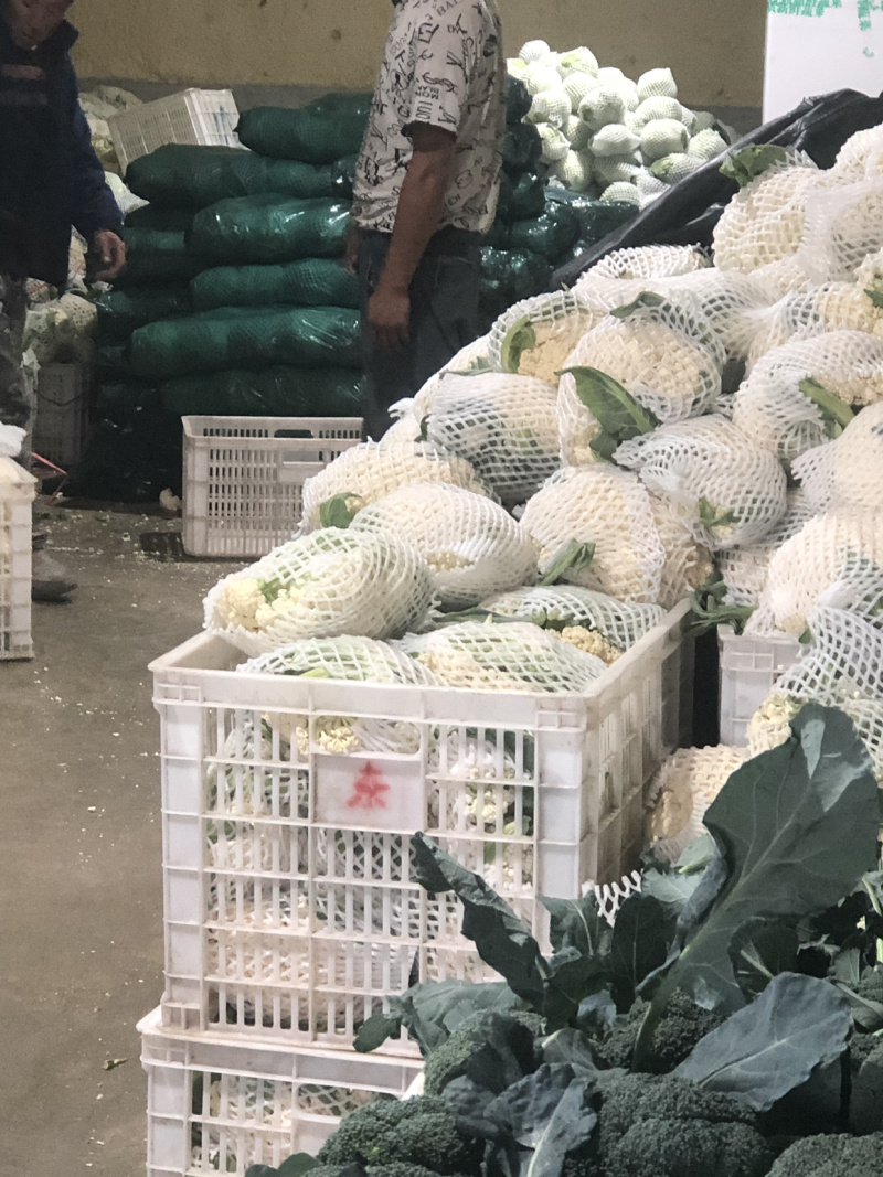有机菜花地里装车，价格低！能出俩万斤