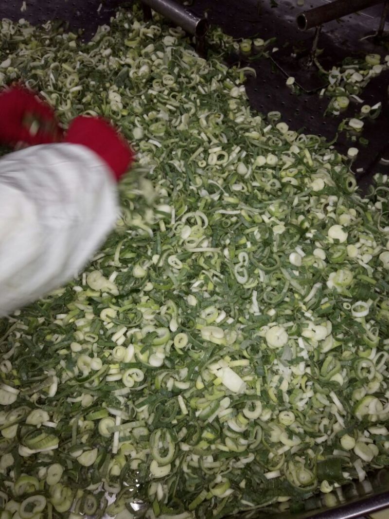 青葱大葱净葱3cm左右