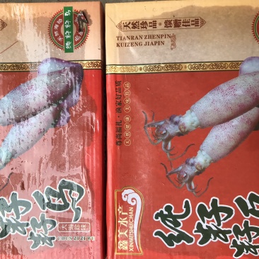笔管鱼海兔籽乌冷冻小鱿鱼盒装满籽