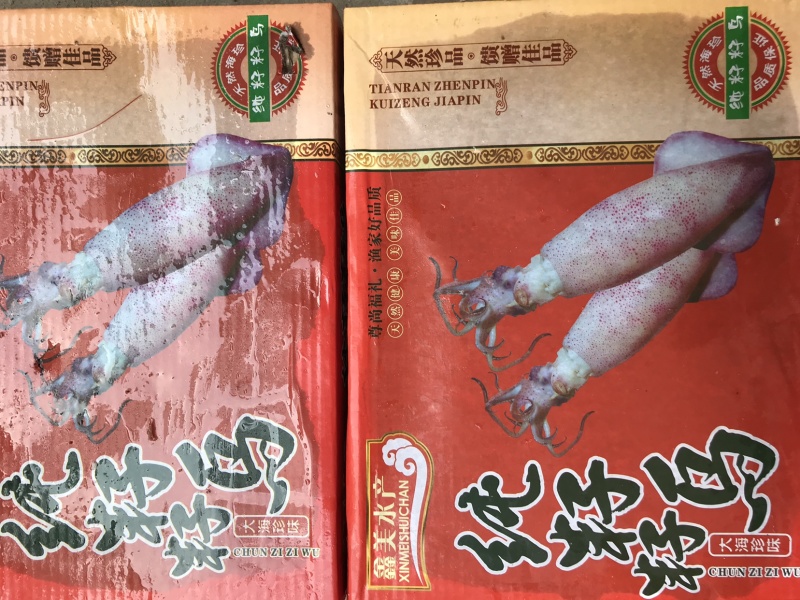 笔管鱼海兔籽乌冷冻小鱿鱼盒装满籽