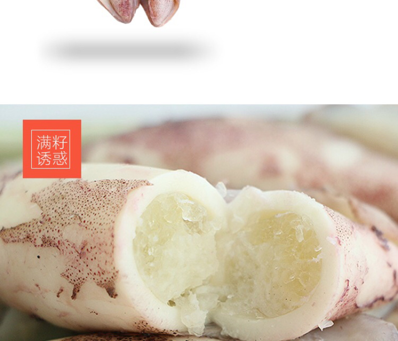 笔管鱼海兔籽乌冷冻小鱿鱼盒装满籽