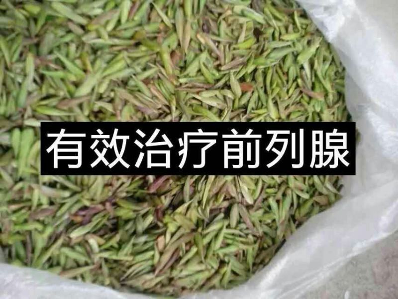 普洱茶