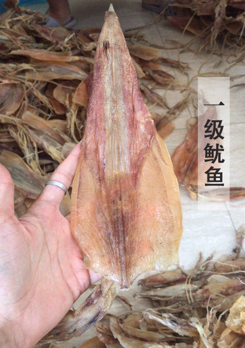 北海渔民自家船晒大鱿鱼干乌贼干
