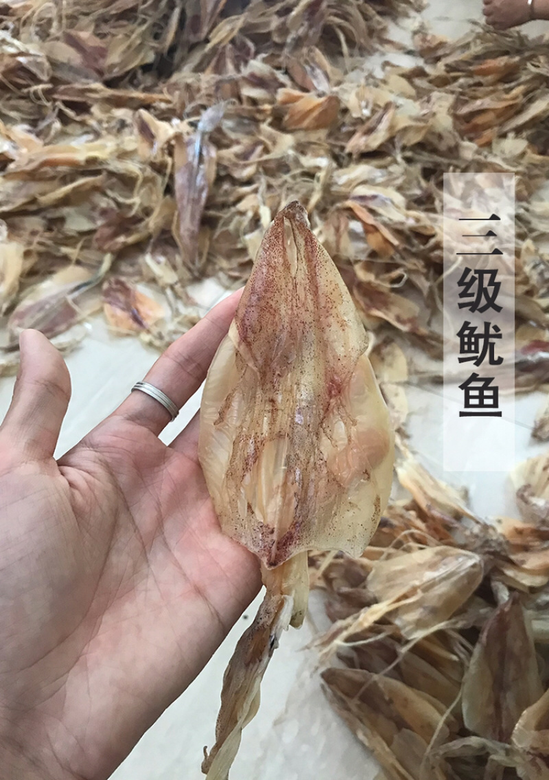 北海渔民自家船晒大鱿鱼干乌贼干
