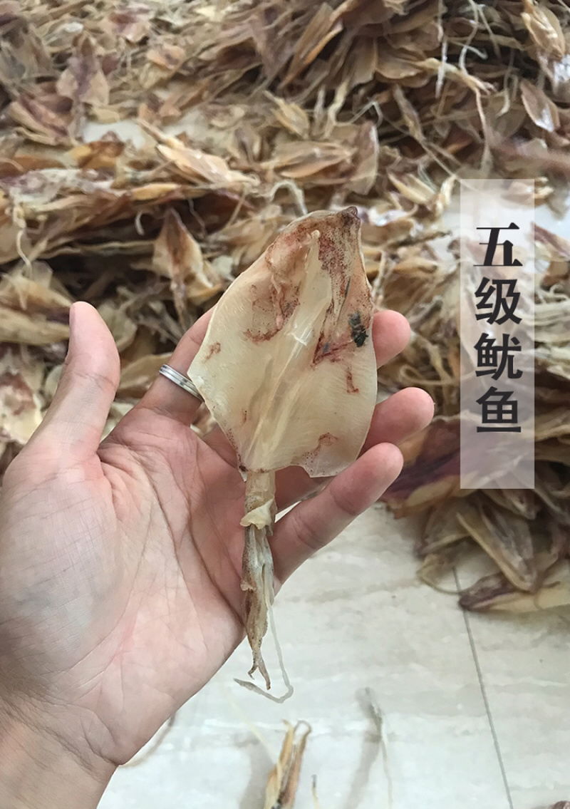 北海渔民自家船晒大鱿鱼干乌贼干