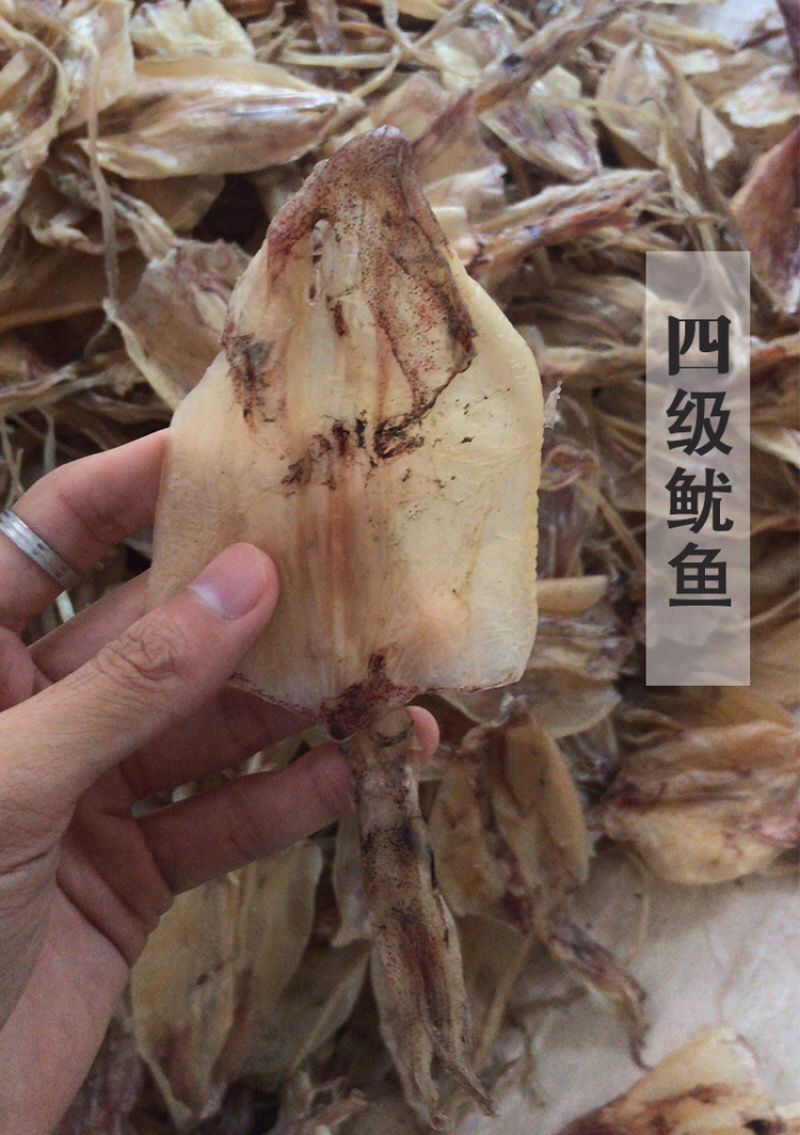 北海渔民自家船晒大鱿鱼干乌贼干