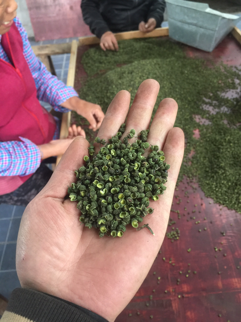 【实力】花椒云南青花椒色选花椒长期供应诚信经营