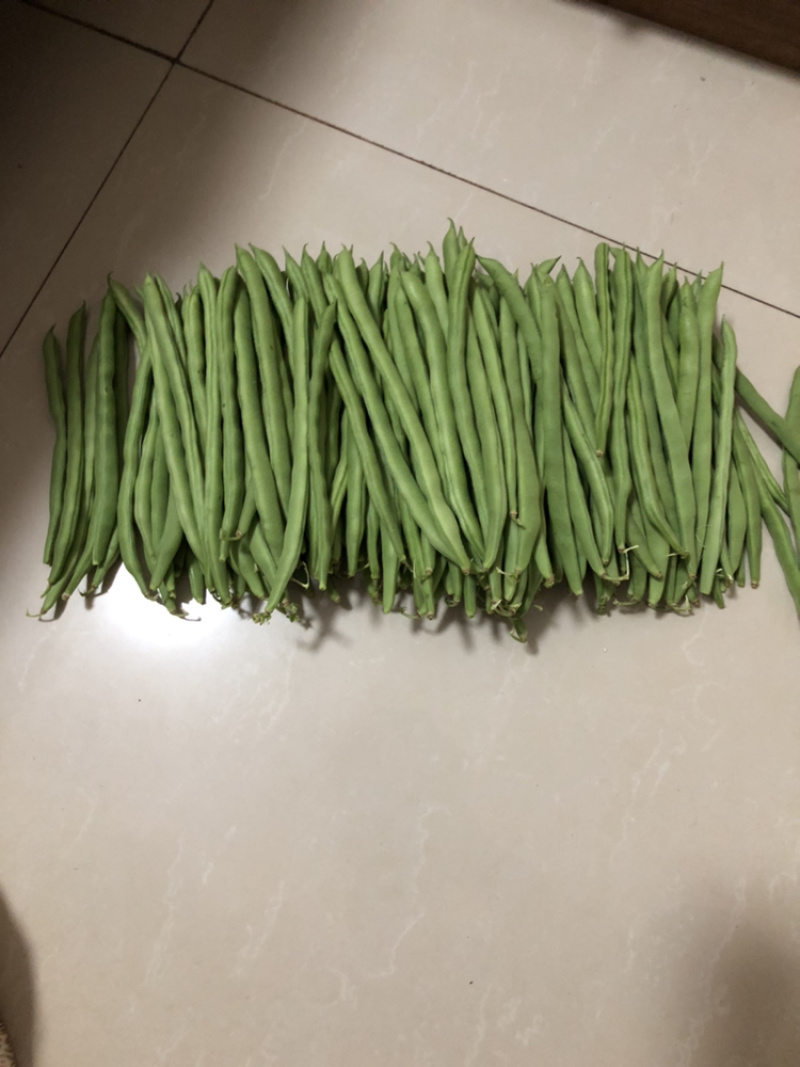 精品四季豆