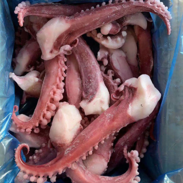 超大章鱼须，