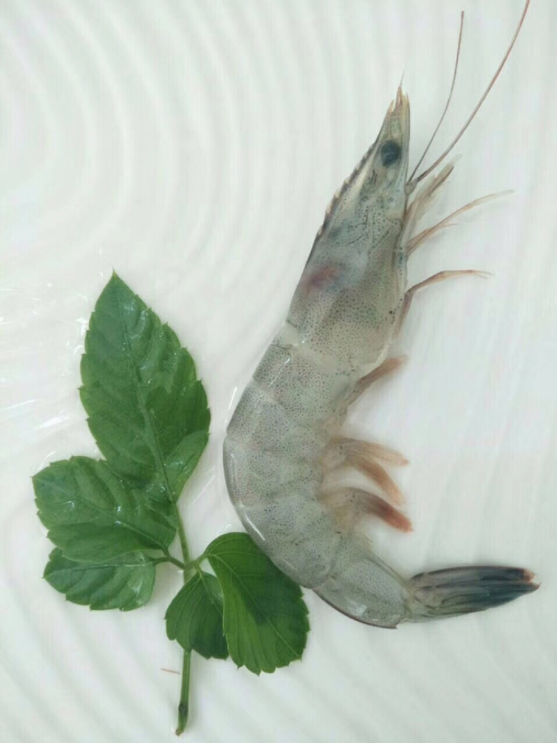 活虾速冻南美白对虾60-70规格