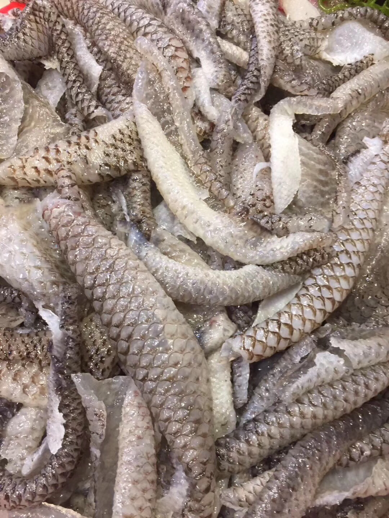 鱼皮