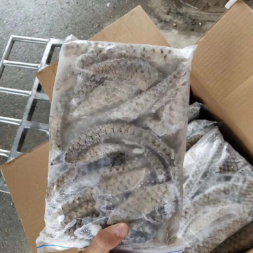鱼皮