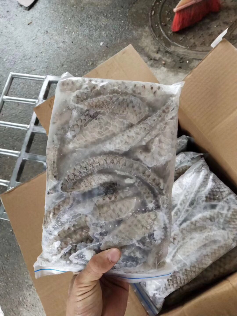 鱼皮