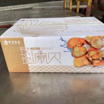 玫瑰扇贝