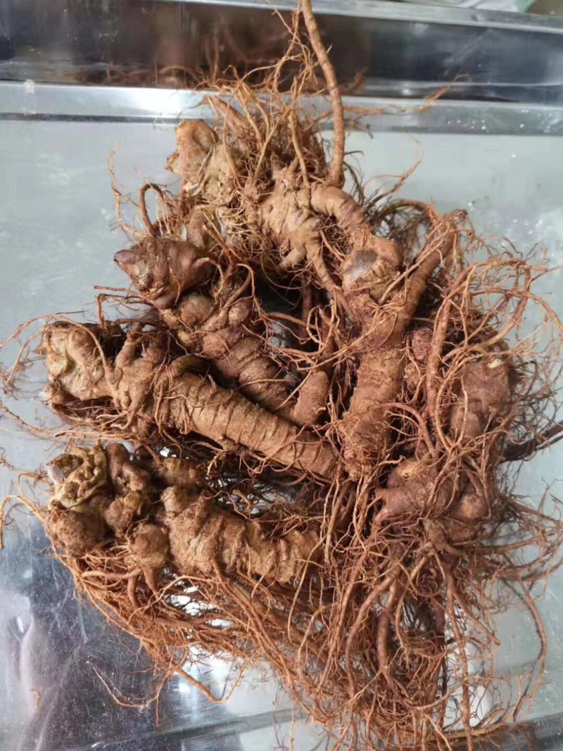 云南特产三七传统滋补品（白药）