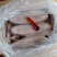 深海马友鱼片