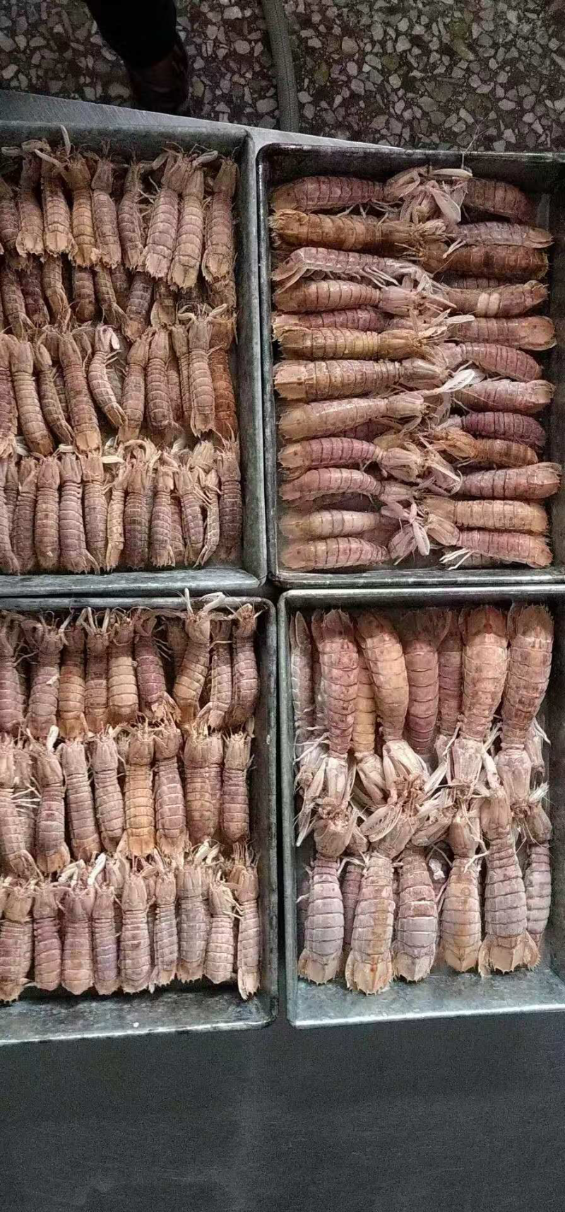 熟冻皮皮虾