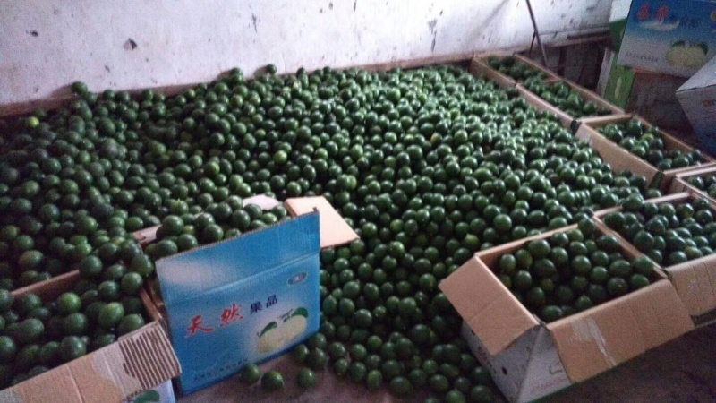 万州青柠檬