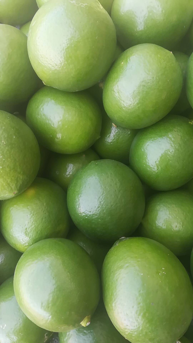 万州青柠檬