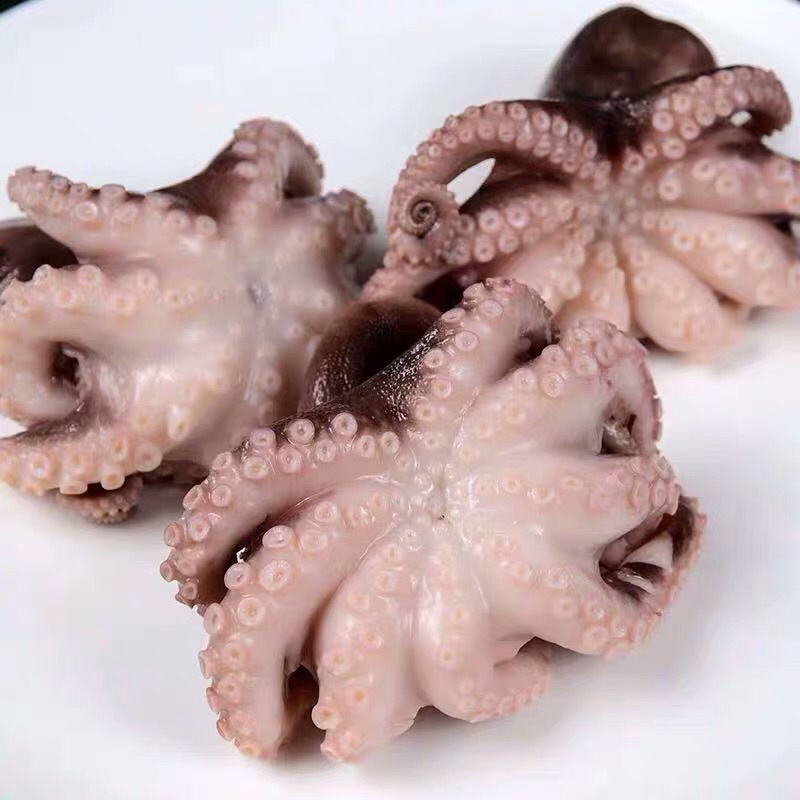 半熟八爪鱼新鲜冷冻鲜活海鲜水产迷你爆头熟冻章鱼火锅食材