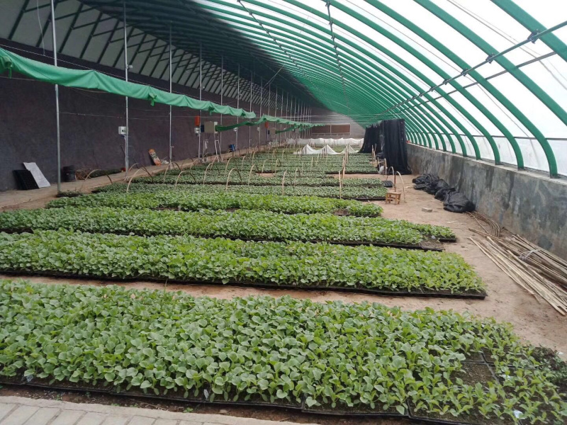 全自动电加热暖风机大棚加温专用热风机