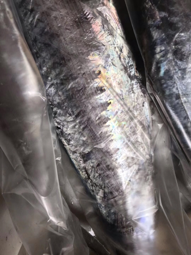 北海马鲛鱼可帮切片真空袋装