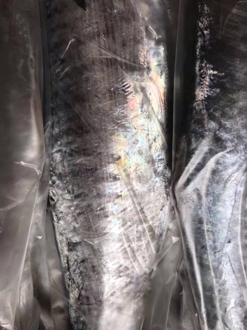 北海马鲛鱼可帮切片真空袋装