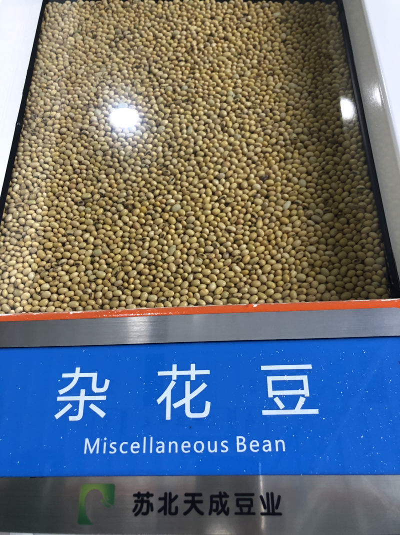 大豆双正压比，色选苏北杂花豆