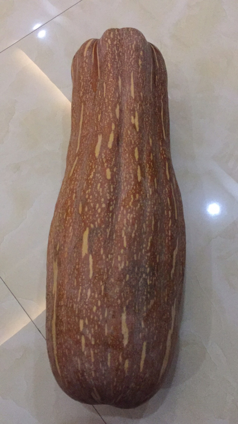个大颜色好