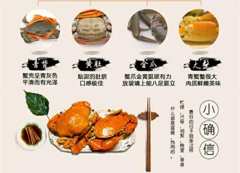 三门青蟹食用雌蟹